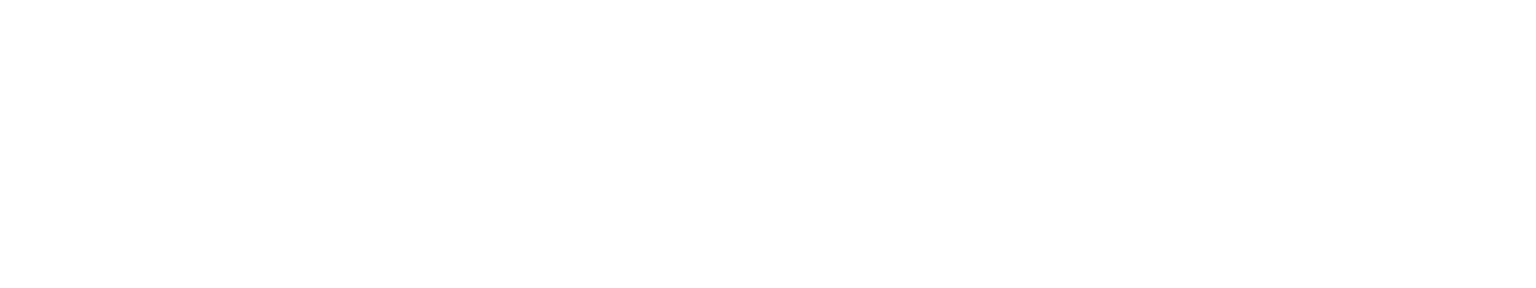 Portfolio logo